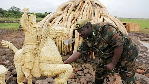All set as Kenya prepares to torch 105 tonnes of ivory