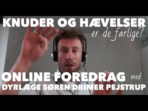 Video: Hævelse I Katte