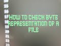 How To Check Byte Representation Of A File