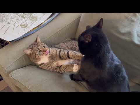 Blin feat. Mr - We Come from the Same Place (L)