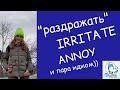 Раздражать: IRRITATE vs ANNOY