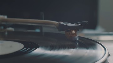 “sakura" by Fortdax with Cotton Casino ‘03