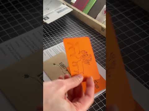 ASMR Pack leather