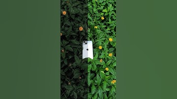 Moody green preset lightroom tutorial | how to edit moody green tone in lightroom #youtubeshorts