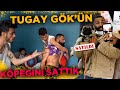 Tugay gkn kpei maraz sattk tugaygok01