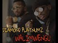 Diamond platnumz - walimwengu audio Mp3