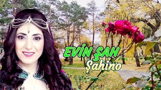 Evin Şah - Şahino - Dertli Duygulu Acıklı Uzun Hava