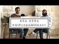 Аба Аббо - о интернете, Израиле и &quot;Enerjew&quot; (2 часть) #ШИспраШИвает