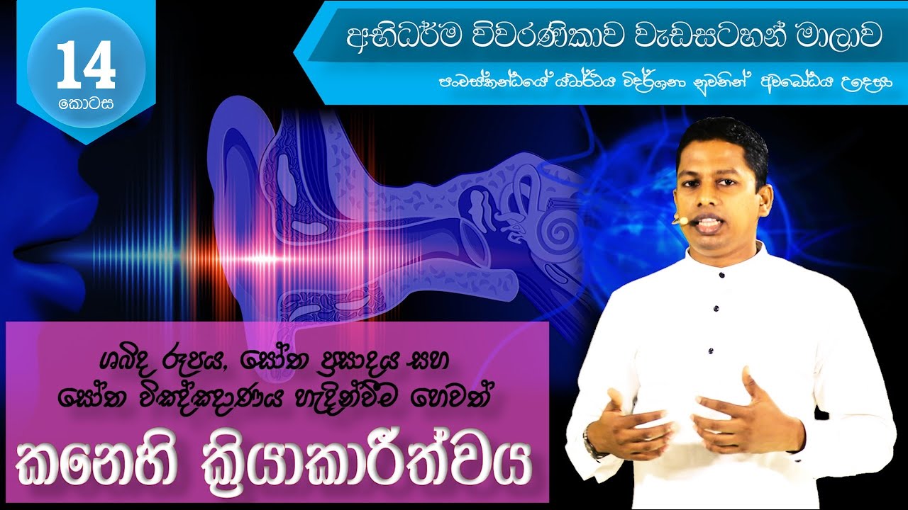 Abhidharma Viwaranikawa - A016 | ශබ්ද රුපය, සෝත ප්‍රසාදය, සෝත විඥාණය හෙවත් කනෙහි ක්‍රියාකාරිත්වය
