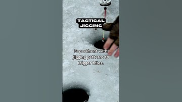 Triggering Bites: Experimenting with Jigging Patterns