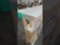 Video Image