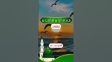 #سورة الاخلاص #اكسبلور #قران_كريم #تلاوة_خاشعة #quran #shortvideos #short