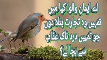 سورة الصف | فضيلة الشيخ علي جابر رحمه الله تعالي | ترجمه لغة الاردو مكتوبه Sorah AlSaf | S.Ali.Jaber