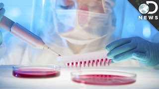 Can The Herpes Virus Kill Cancer?