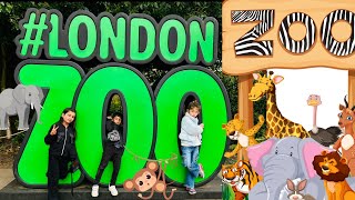 London Zoo Walking Tour #londonzoo #animals #zsl