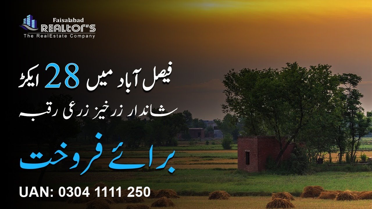 28 acre Agricultural Land For Sale in Faisalabad agriculture 