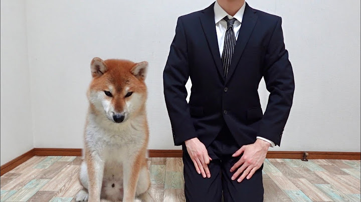 [Thank you for everything.] I have decided to live apart from my beloved dog...