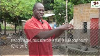 Bénéficiaire kit avicole PRECEL Sindou