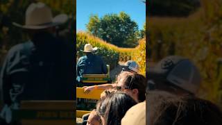 Diana’s 🎃Pumpkin Patch Cañon City #pumpkin #pumkinpatch #coloradopumpkinpatch