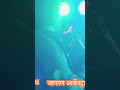 दरोगा जी चोरी होगई #song #sadsong #comedy short video