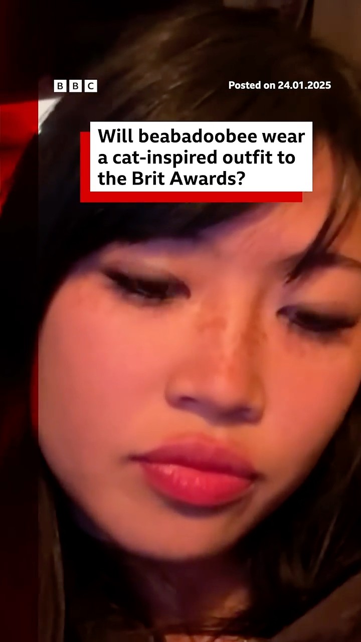 Will beabadoobee wear a cat-inspired outfit to the Brit Awards?