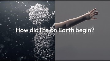 How Did Life on Earth Begin? The Collaborative Effort of Allchemy and Golem Network