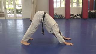 Online Course: Adult Advanced TKD: Lesson #22