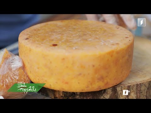 „გაიგე მეტი“ - ყველის ფესტივალი მთაწმინდის პარკში