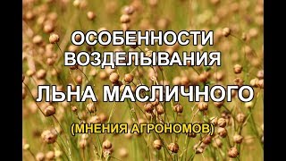 Лен масличный - технология возделывания