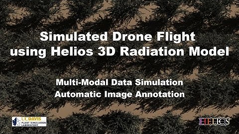 Simulated drone flight over almond orchard with multimodal imagery simulation and auto-annotation