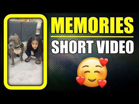 Memories of Brody and Guneet Love You Both 😍| Family and Dog #shorts Video | Harpreet SDC
