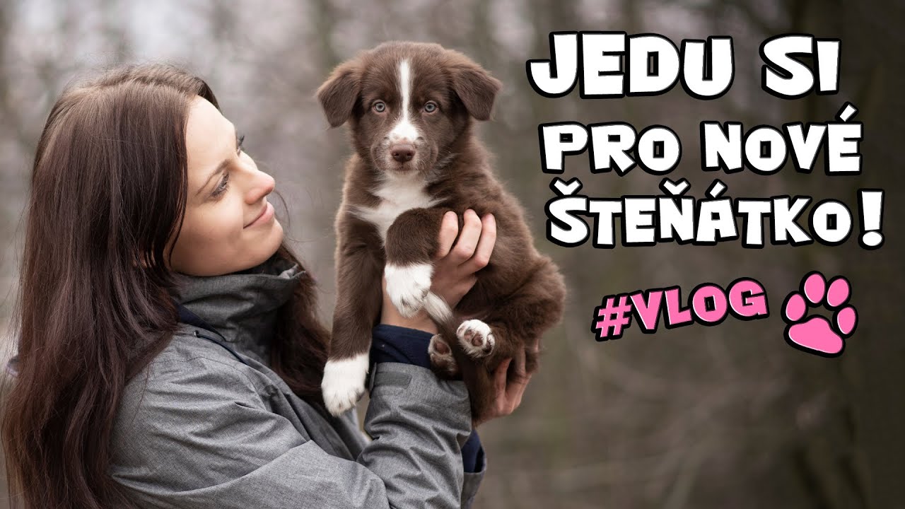 JEDU SI PRO ŠTĚŇÁTKO❤️! První den doma a seznámení se psy | vlog