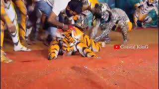 #tiger #tigerdance #udupi