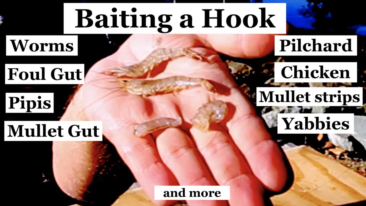 How to BAIT a HOOK, Worms, Yabbies, Mullet, Chicken and lots more 