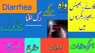 Diarrhea disease and treatment in cow, buffalo, goat and sheeps.انگریزی اور دیسی علاج.with Dr shoaib