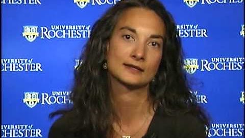 Susan Gibbons: Google Book Project