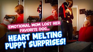 Emotional Mom loses her Favorite Dog... Heart Melting Puppy Surprises For The Weekend!