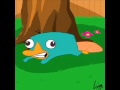 Sonido de Perry el ornitorrinco