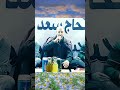 الشاعر محمد بوستة 