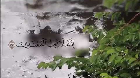 ﴿ادعوا رَبَّكُم تَضَرُّعًا وَخُفيَةً إِنَّهُ لا يُحِبُّ المُعتَدينَ﴾ || القارئ ماجد العقل