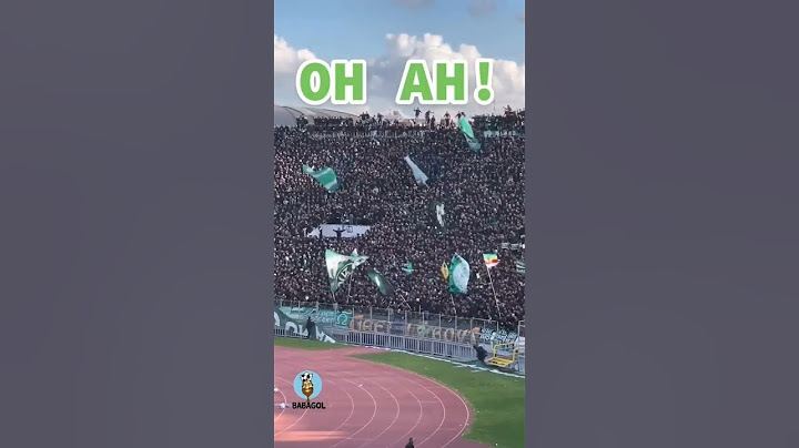 Raja Casablanca fans with a new song! 🎶🔥....#shorts #ultra #ultraman #soccer #futbol #football