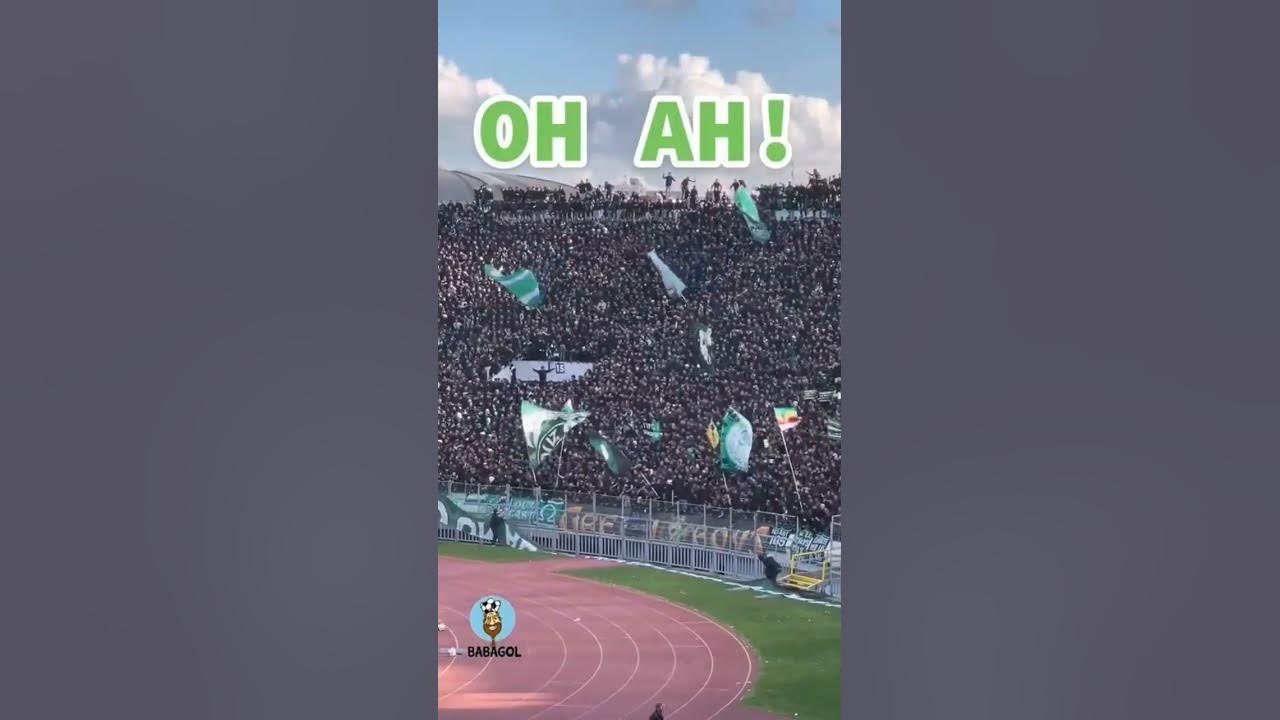 Raja Casablanca fans with a new song! 🎶🔥....#shorts #ultra #ultraman #soccer #futbol #football