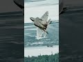 &quot;Phantom of the Raptor&quot; - F22 Filmed at 1000FPS (Part Three) #Shorts