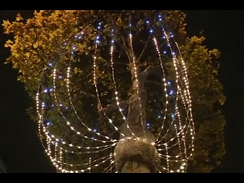 Video: Lampu Natal di kota-kota Prancis