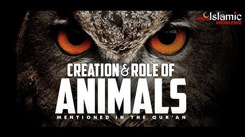 Animals In The Qur