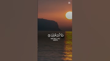 القرآن الكريم #اكسبلور #duet #دويتو #design #life #راحة_نفسية #duetd #quran #لايك #حالات_واتس