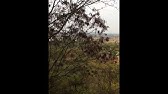 アメトーーク 相方どうかしてるぜ芸人 Youtube