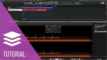 Sound Design Featuring Unmix Levels and Ambience Match in ARA Mode | SpectraLayers 9 Tutorials