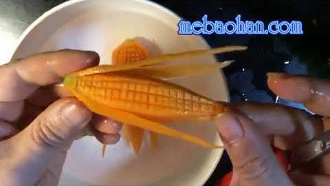 hướng dẫn cắt tỉa bắp ngô từ củ cà rốt - Instructions for pruning carrots from carrots