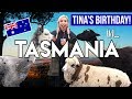 TINA&#39;S BIRTHDAY IN TASMANIA!